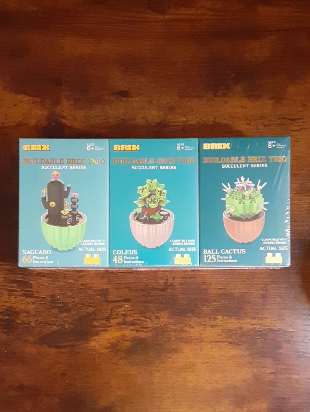 Buildable Brix Trio Succulent Series